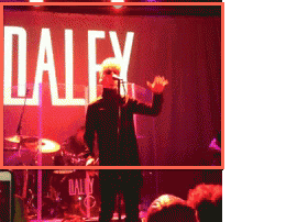 daley-williamsburg